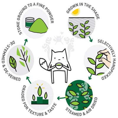 Organic Matcha - Culinary Grade 250g bag