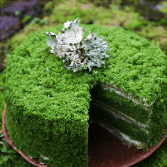 Matcha Genoise + Nettle Lemon Moss Cake